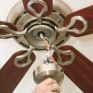 Ceiling Fan
